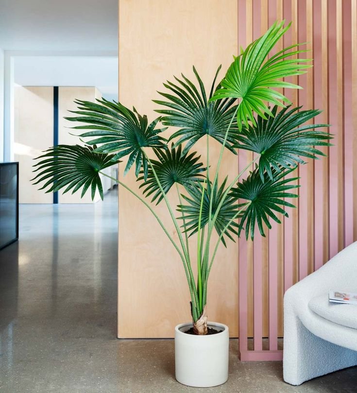 Artifical Plants
