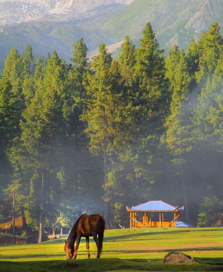 Hunza Tour