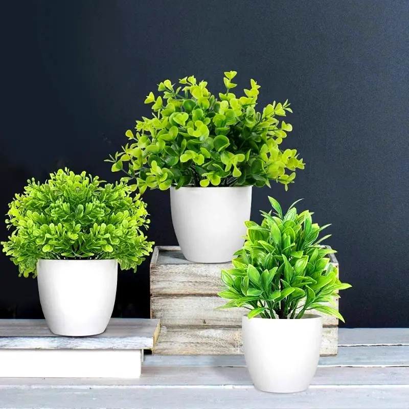 ports & Plants