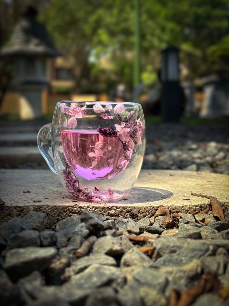 Sip & Spaces